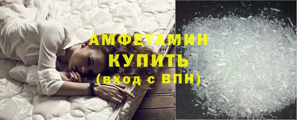 индика Богородицк